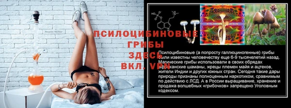 первитин Михайлов