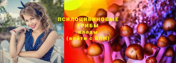 первитин Михайлов
