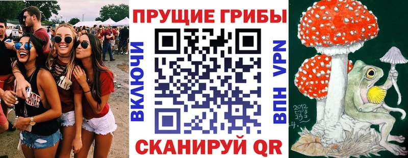 площадка наркотические препараты Енисейск Псилоцибиновые грибы GOLDEN TEACHER blacksprut ССЫЛКА